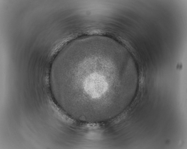 X0000115010353200911091425