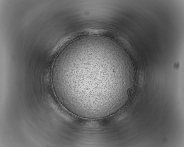 X0000115010357200911091425