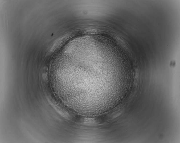 X0000115010361200911091426