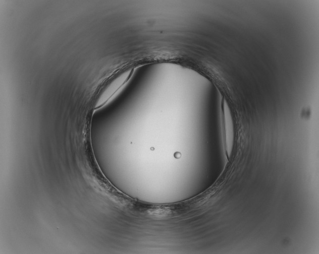 X0000115010362200911091426