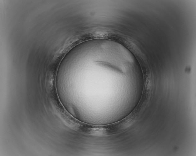 X0000115010363200911091426
