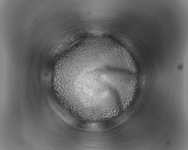 X0000115010365200911091426