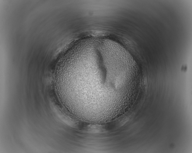 X0000115010367200911091426