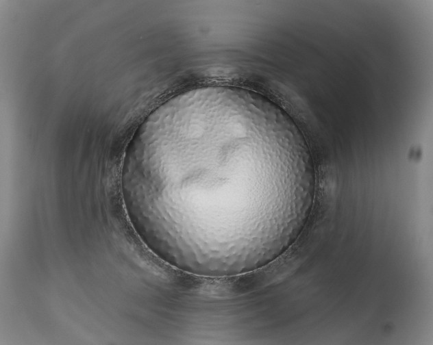 X0000115010369200911091426