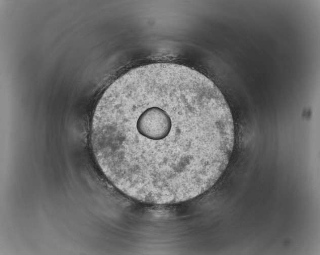 X0000115010370200911091426