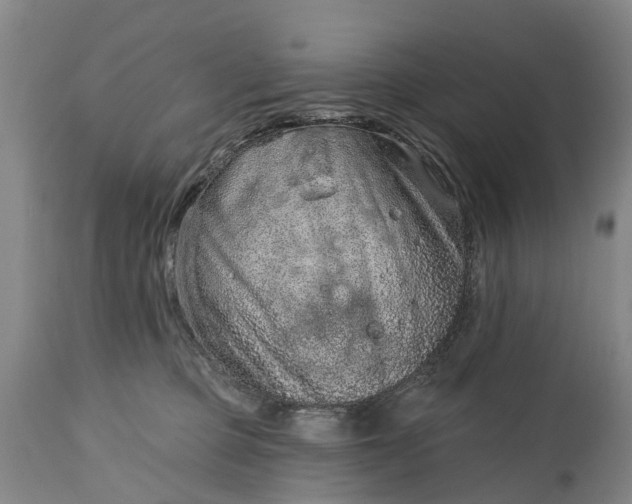 X0000115010373200911091426