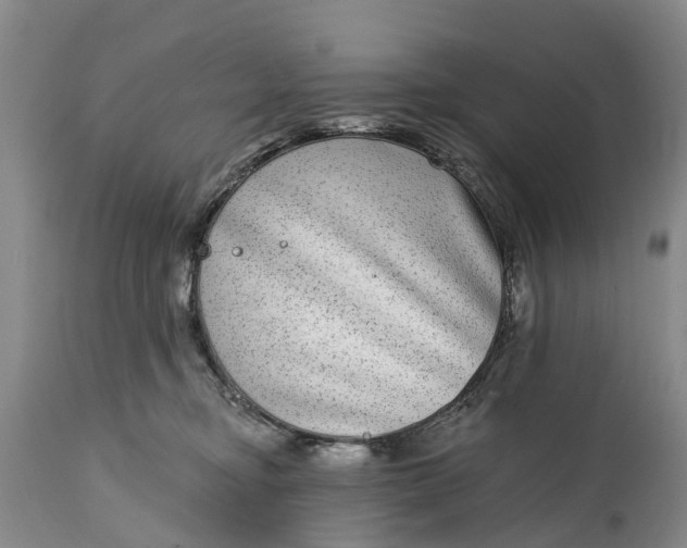 X0000115010374200911091426