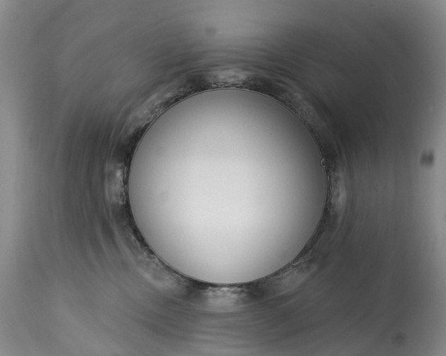 X0000115010378200911091426