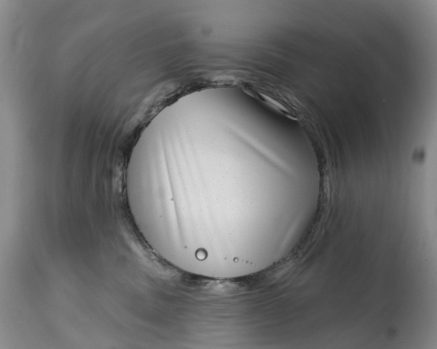 X0000115010379200911091426