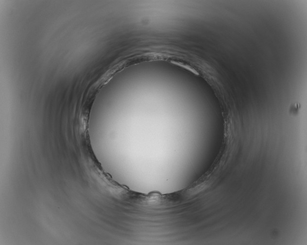 X0000115010382200911091426