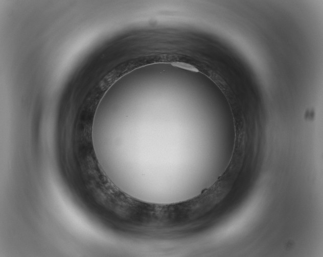 X0000115010383200911091426