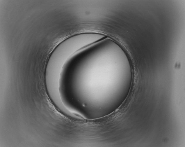 X0000115010385200911091425