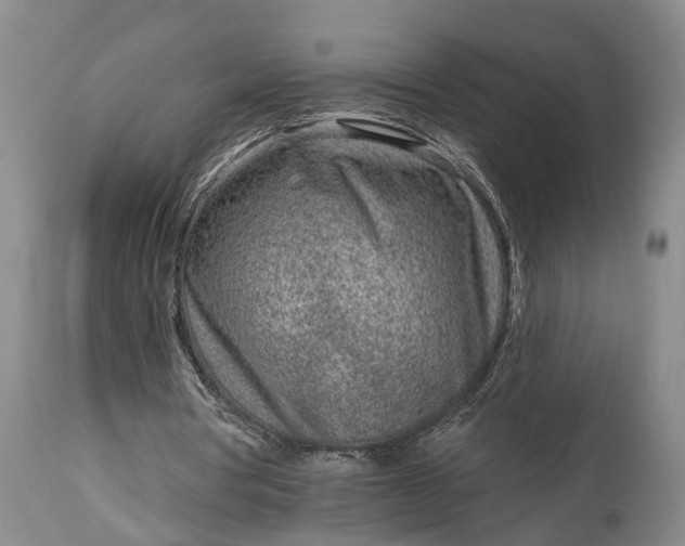 X0000115010386200911091425