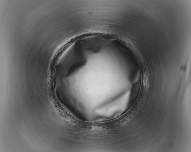 X0000115010388200911091425