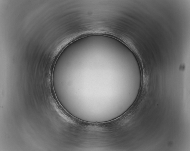 X0000115010389200911091425