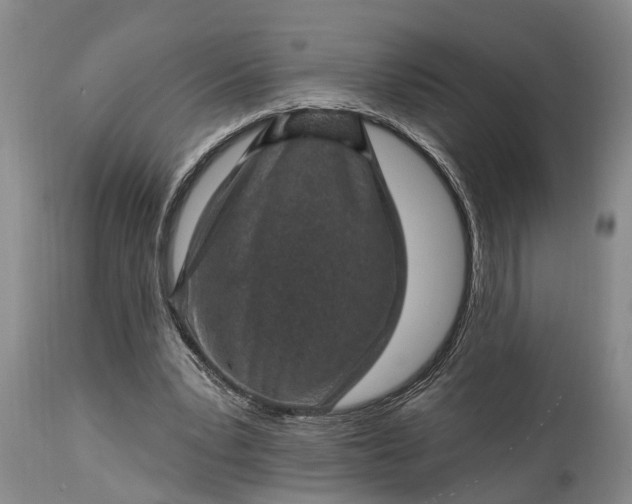 X0000115010391200911091425