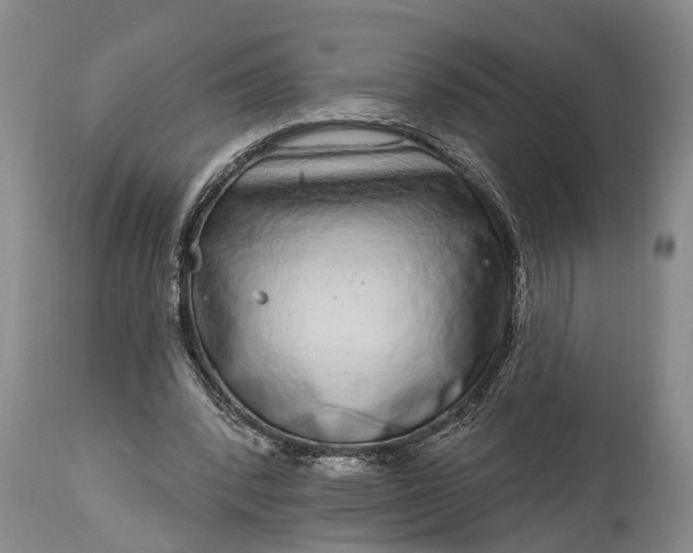 X0000115010392200911091425
