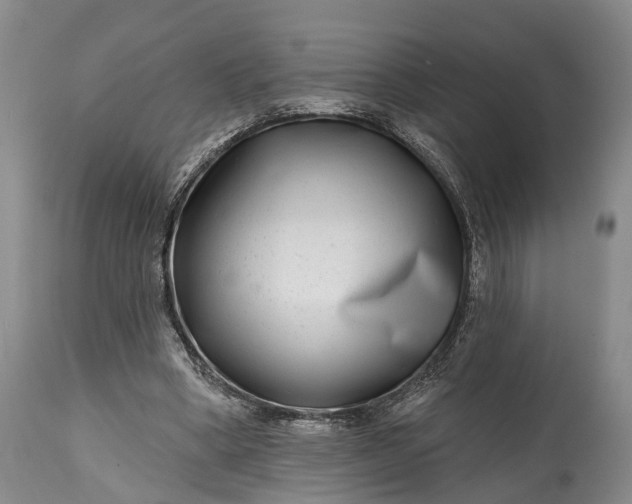 X0000115010394200911091425