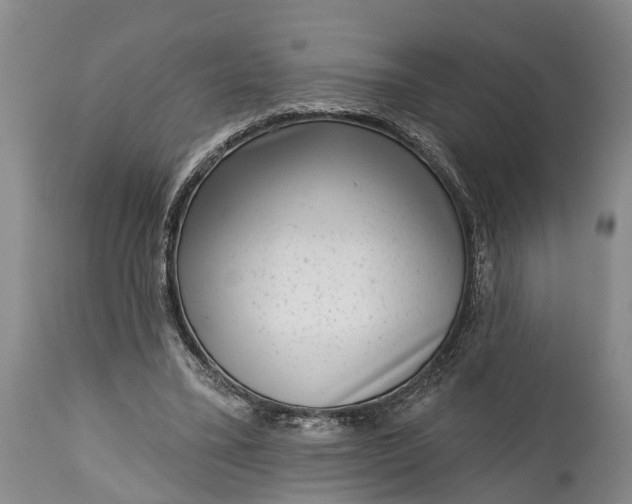 X0000115010395200911091425