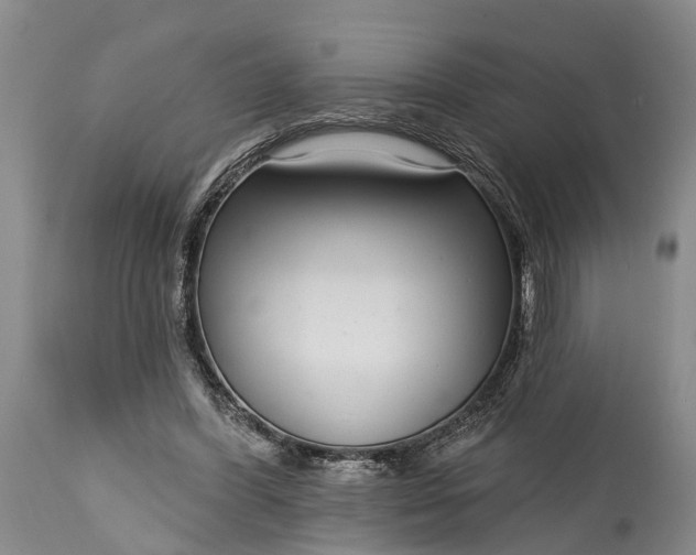 X0000115010396200911091425