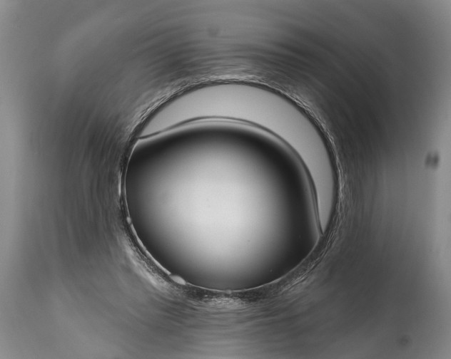 X0000115010397200911091425