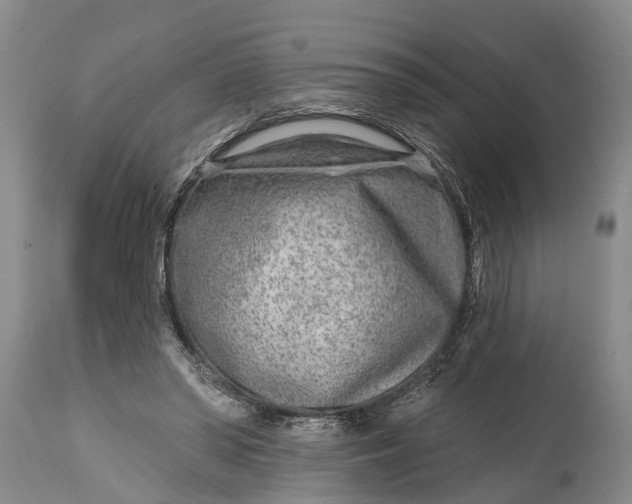 X0000115010398200911091425
