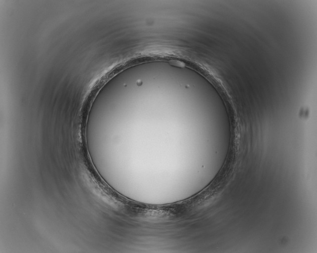 X0000115010399200911091425