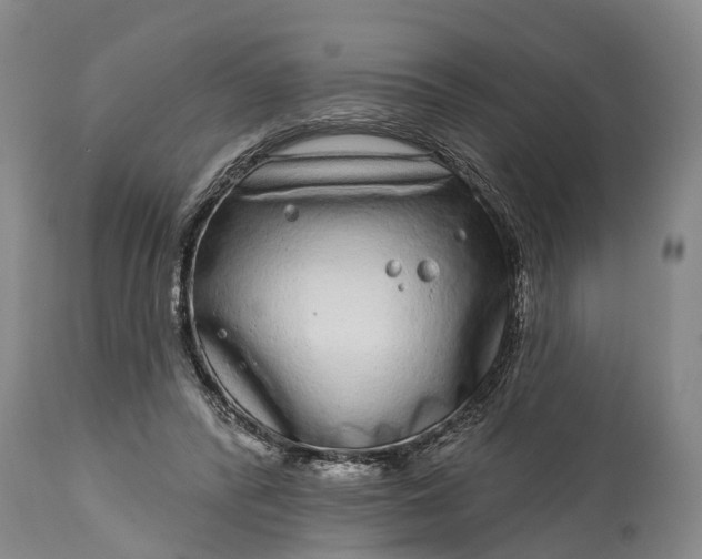 X0000115010400200911091425