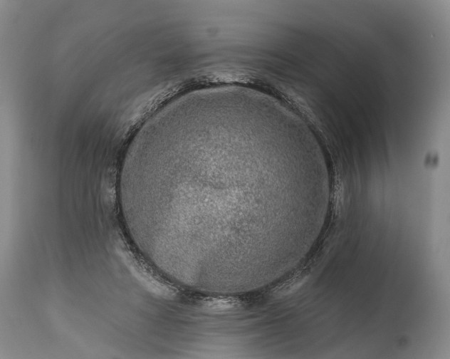 X0000115010402200911091425
