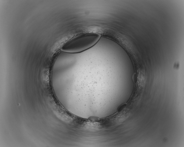 X0000115010403200911091425