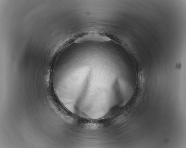 X0000115010404200911091425