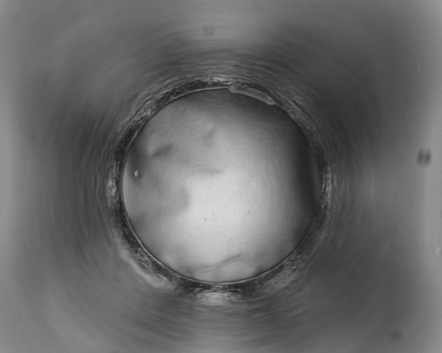 X0000115010408200911091425