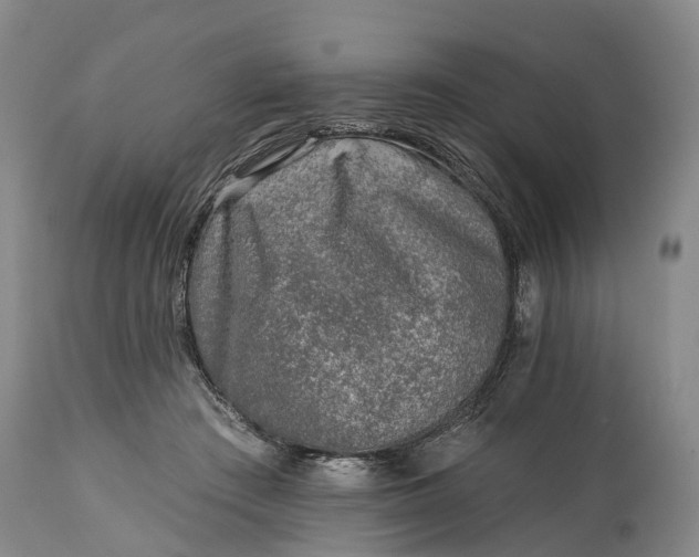 X0000115010409200911091425