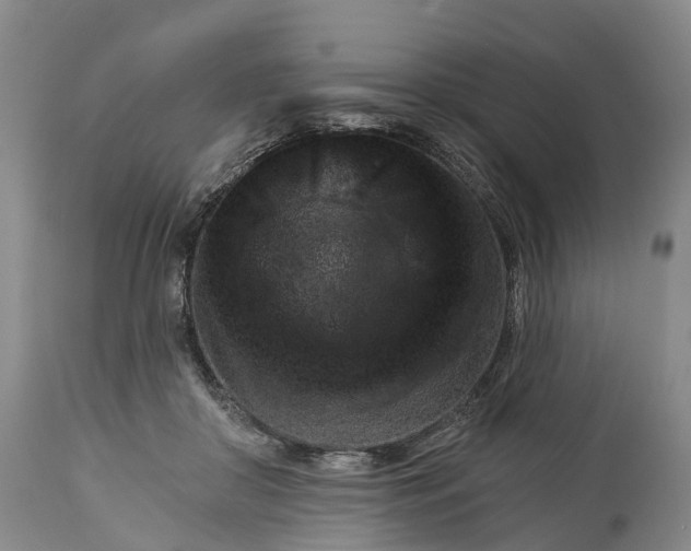 X0000115010410200911091425