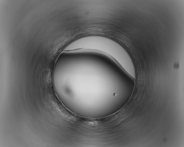 X0000115010411200911091425