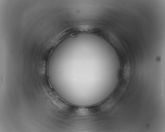 X0000115010413200911091425