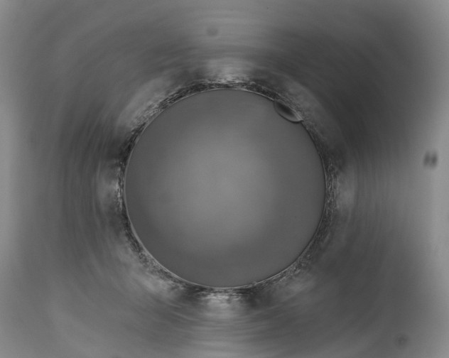 X0000115010415200911091425