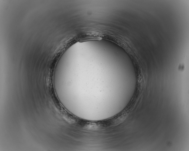 X0000115010416200911091425