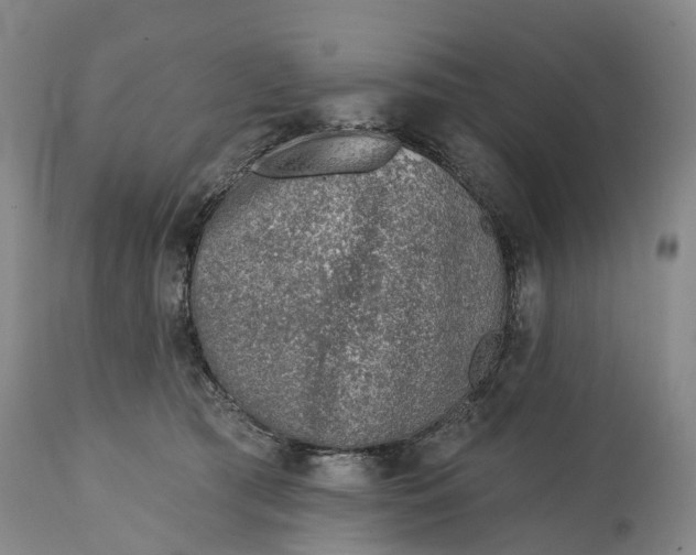 X0000115010417200911091425