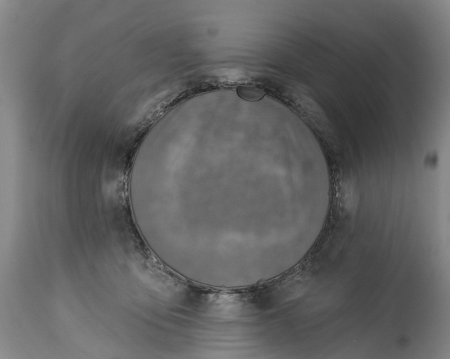 X0000115010419200911091425