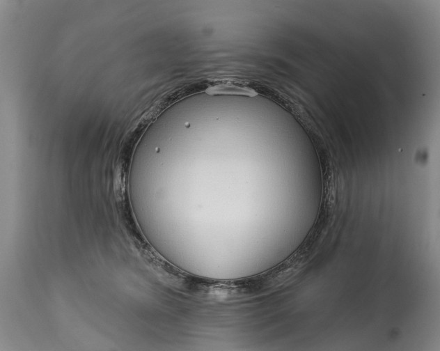 X0000115010420200911091425