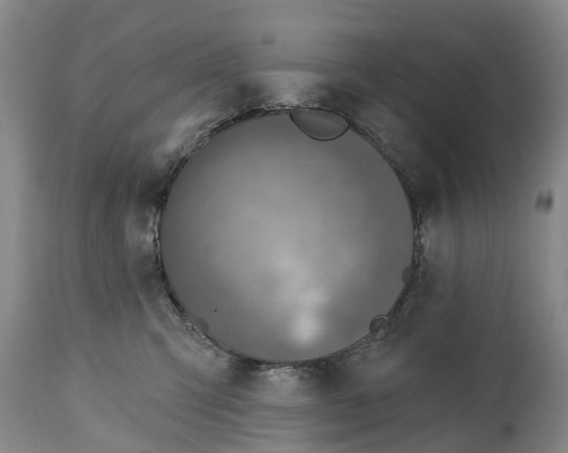 X0000115010423200911091424