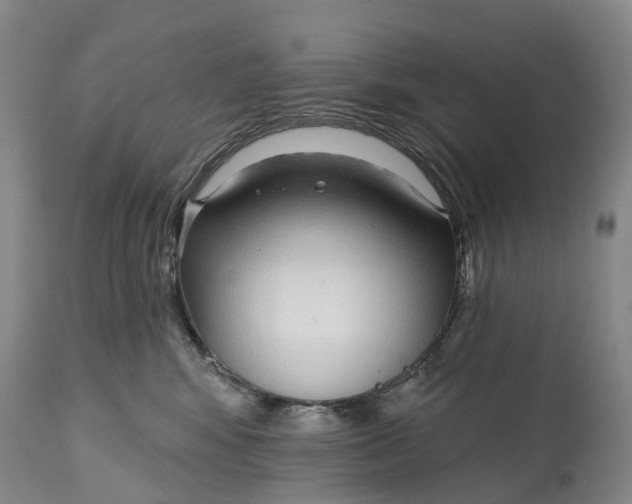 X0000115010424200911091424