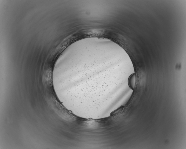 X0000115010425200911091424