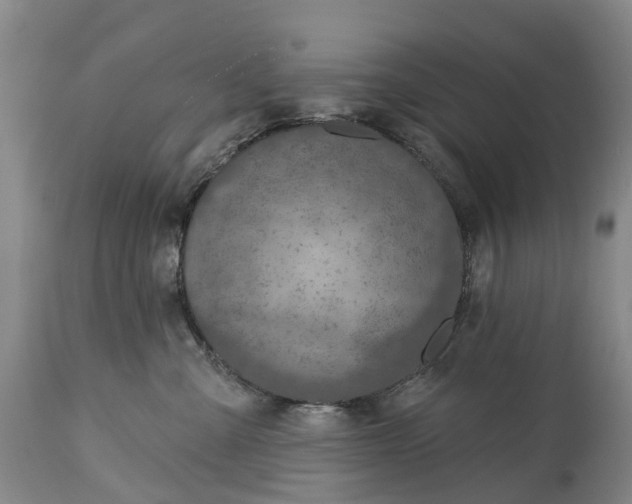 X0000115010427200911091424
