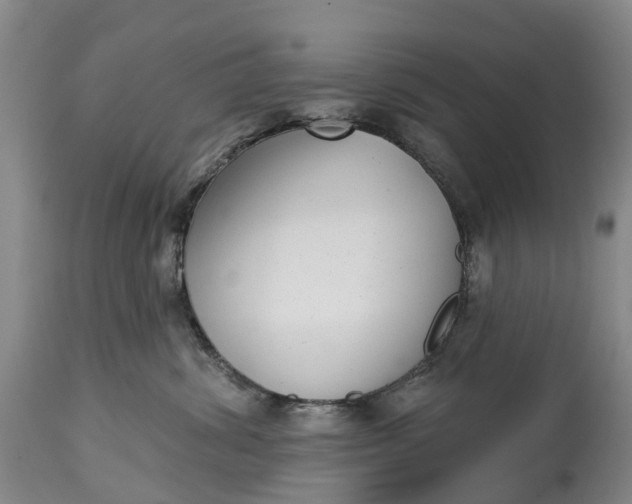 X0000115010428200911091424