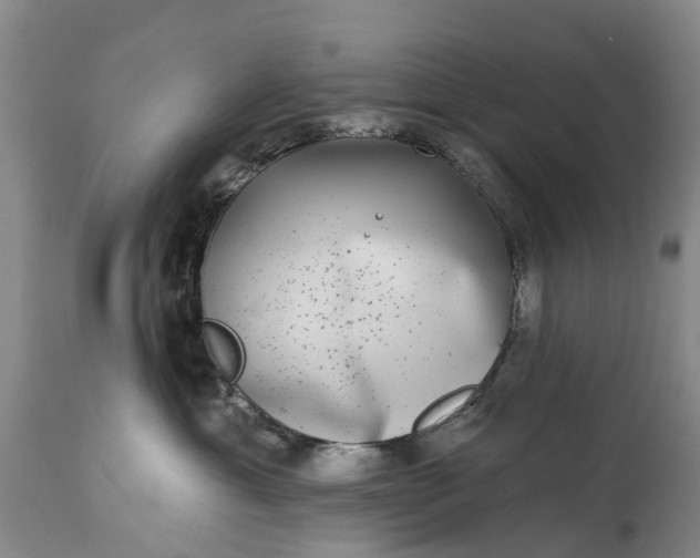 X0000115010429200911091424
