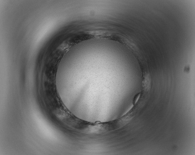 X0000115010430200911091424