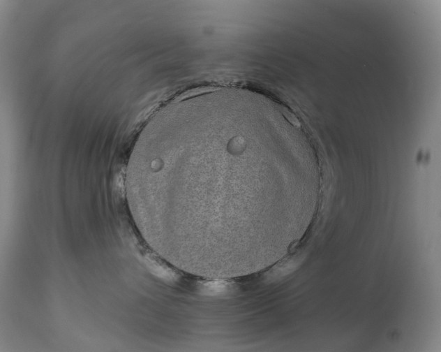 X0000115010432200911091424