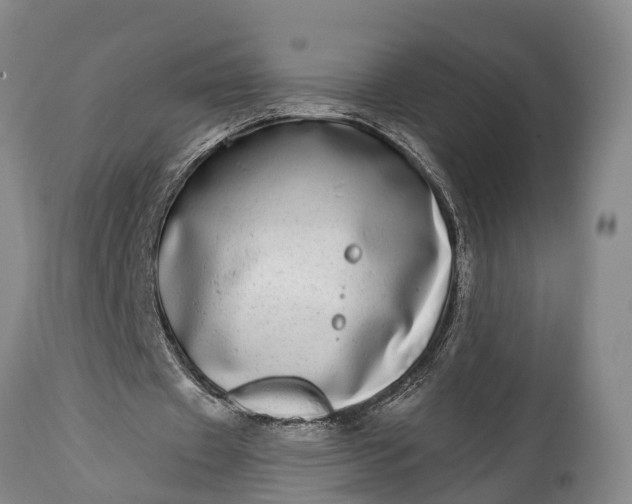 X0000115010433200911091424